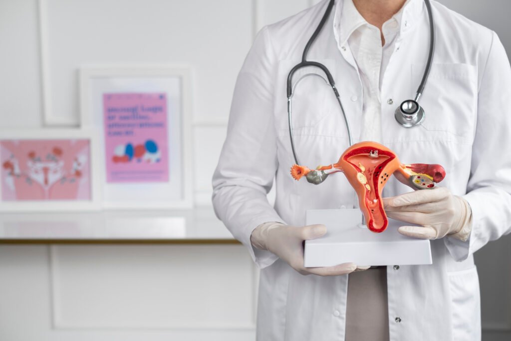 Doctor holding an anatomical model of the uterus for a gynaecology guide